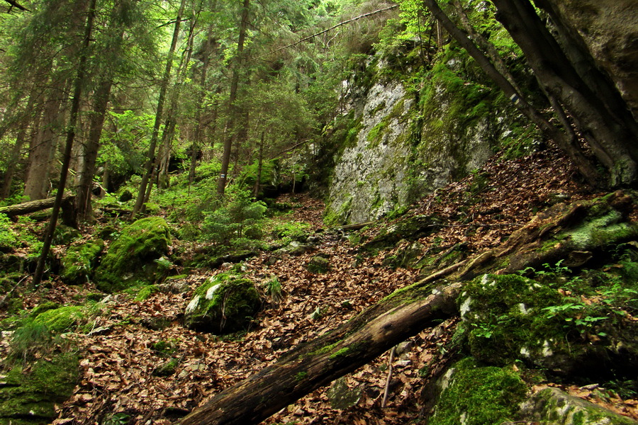 Havrania skala (Slovenský raj)