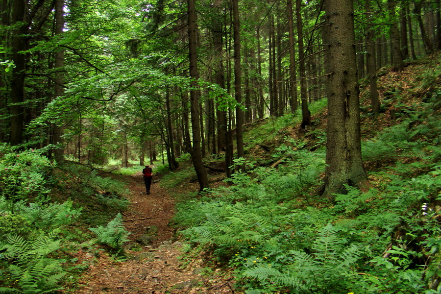 Havrania skala (Slovenský raj)