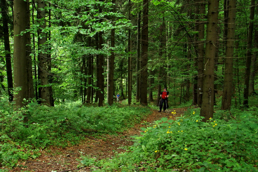 Havrania skala (Slovenský raj)