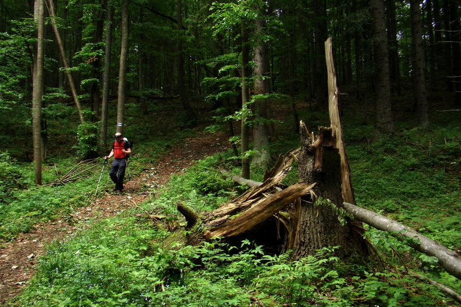 Havrania skala (Slovenský raj)