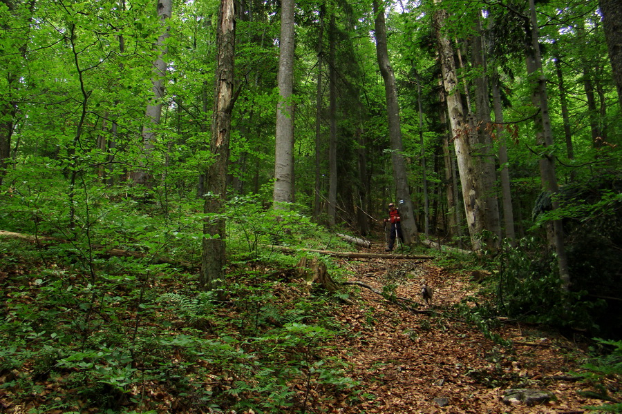 Havrania skala (Slovenský raj)