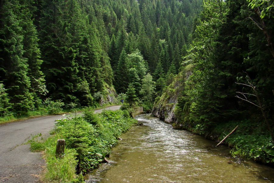 Havrania skala (Slovenský raj)