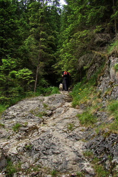 Havrania skala (Slovenský raj)