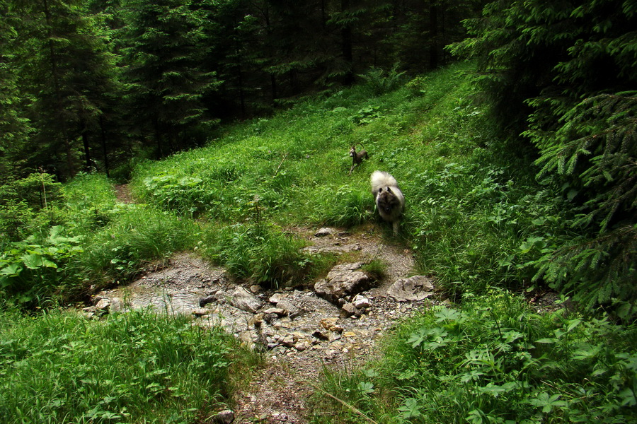 Havrania skala (Slovenský raj)