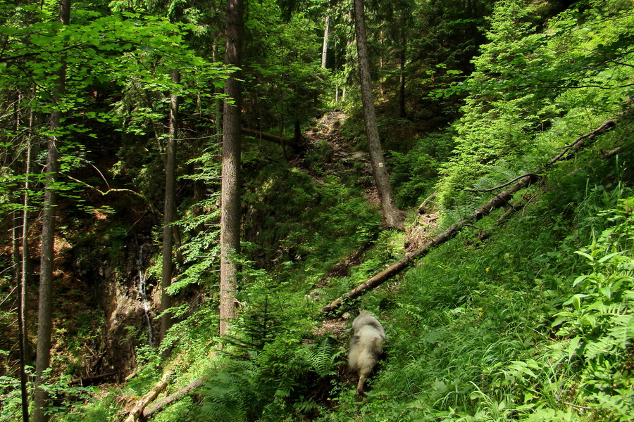 Havrania skala (Slovenský raj)