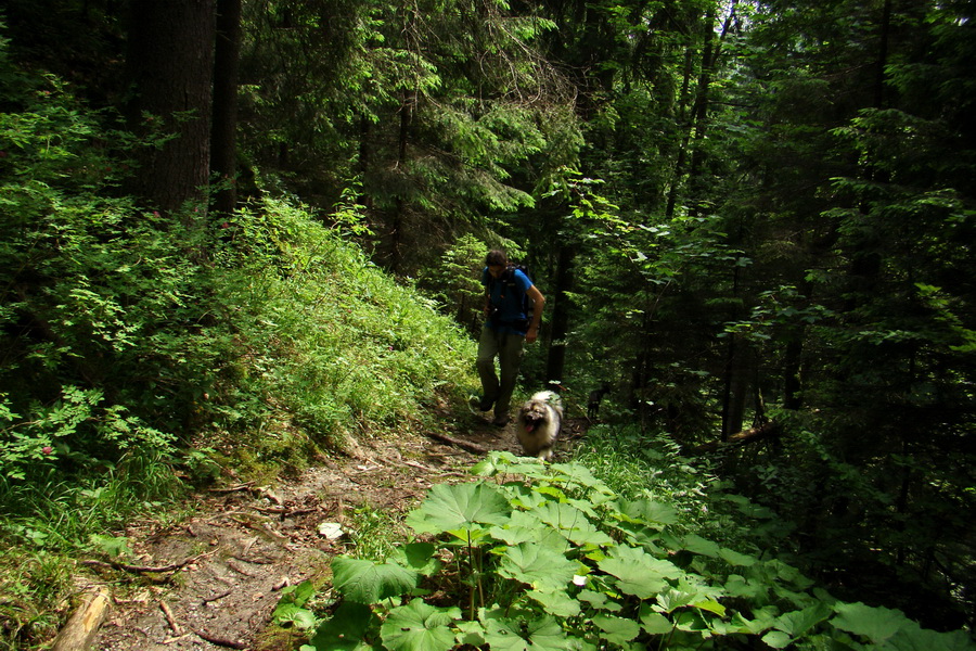 Havrania skala (Slovenský raj)