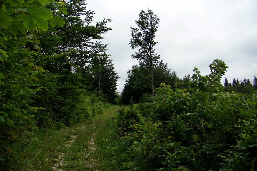 Havrania skala (Slovenský raj)