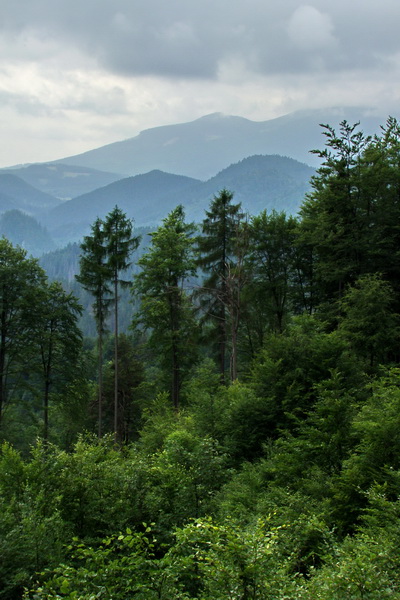 Havrania skala (Slovenský raj)