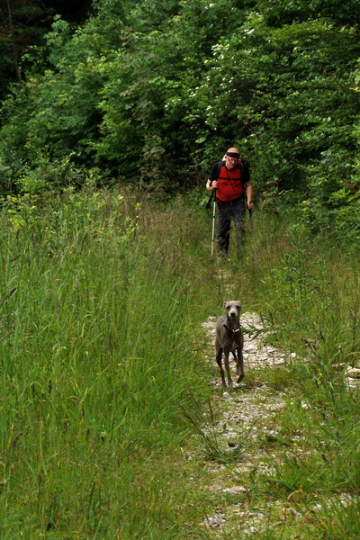 Havrania skala (Slovenský raj)