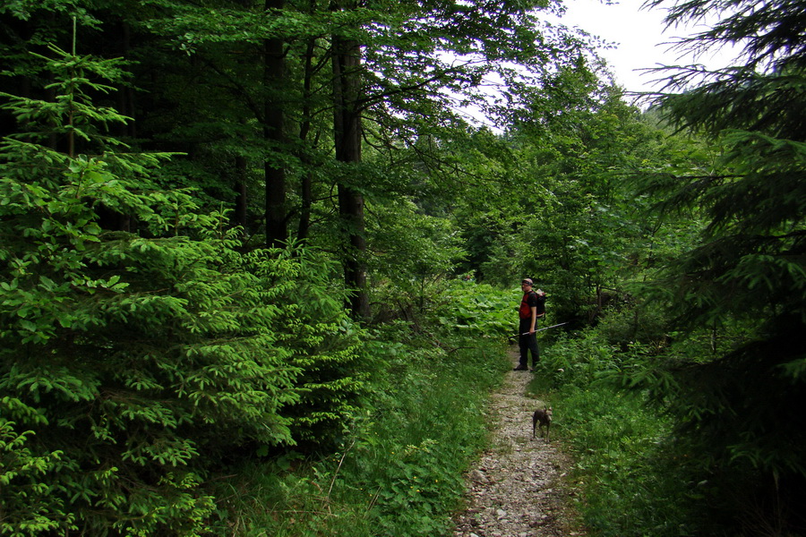 Havrania skala (Slovenský raj)