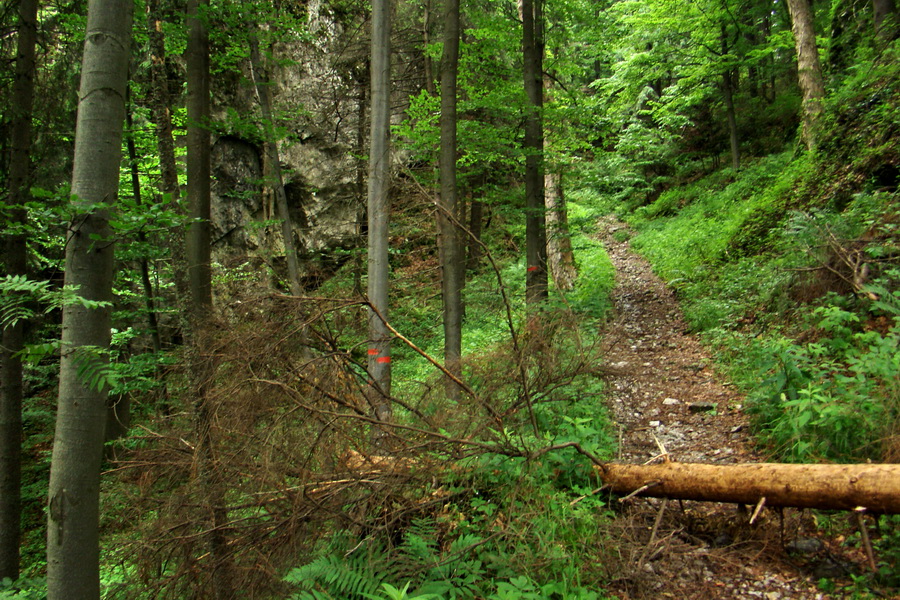 Havrania skala (Slovenský raj)