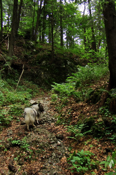 Havrania skala (Slovenský raj)