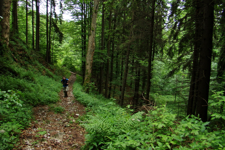 Havrania skala (Slovenský raj)