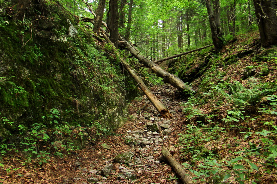 Havrania skala (Slovenský raj)