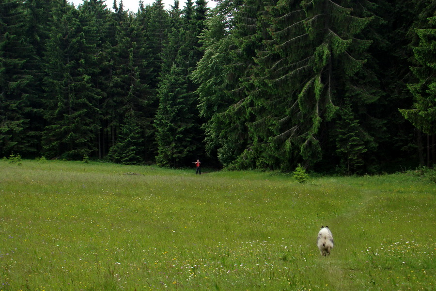 Havrania skala (Slovenský raj)