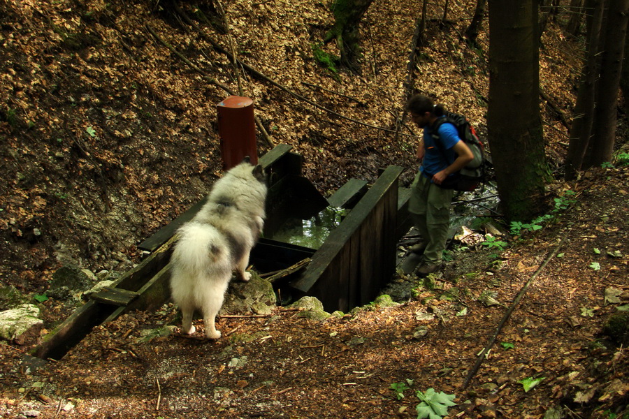 Havrania skala (Slovenský raj)