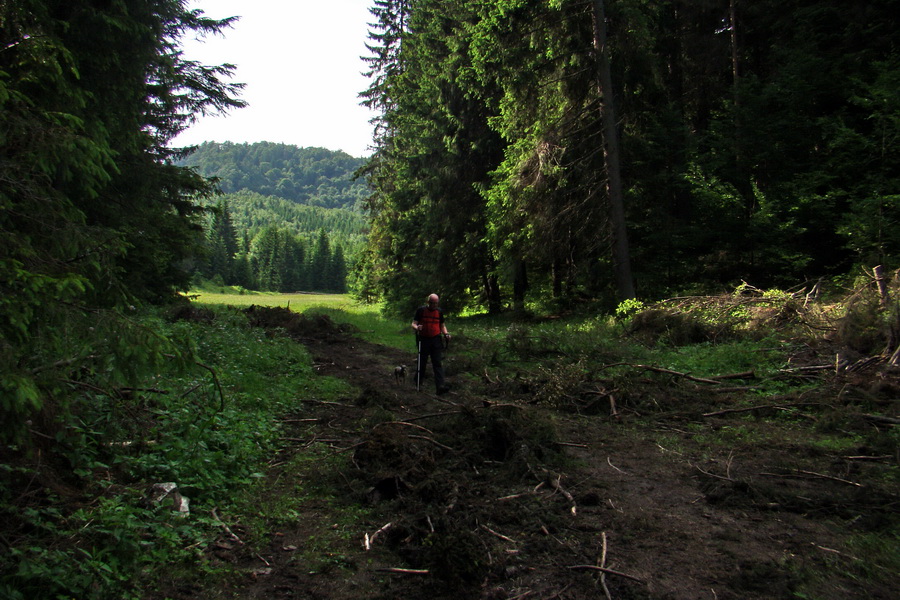 Havrania skala (Slovenský raj)