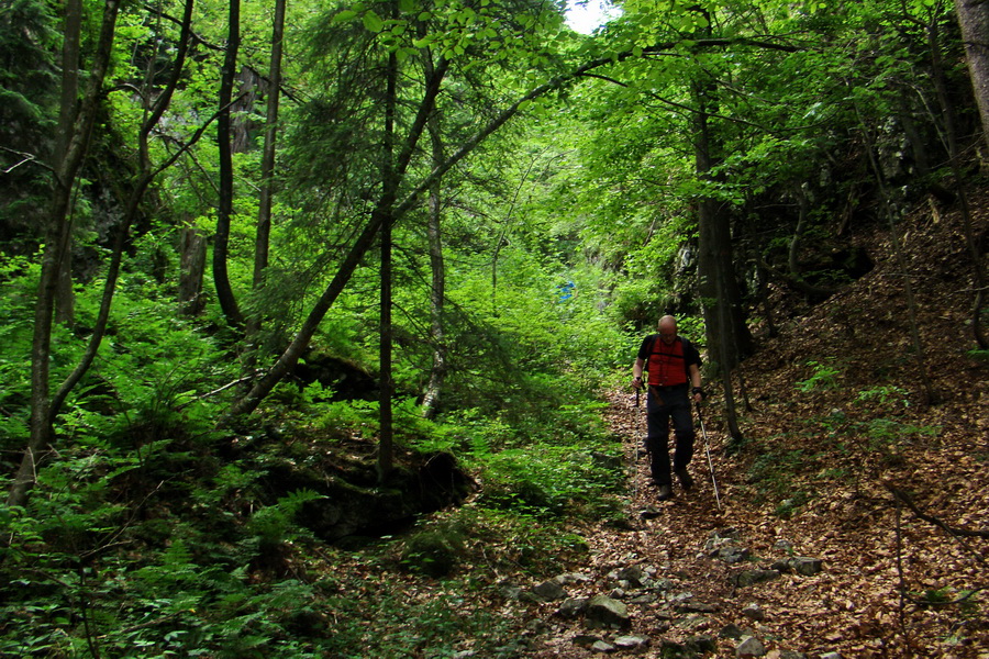 Havrania skala (Slovenský raj)