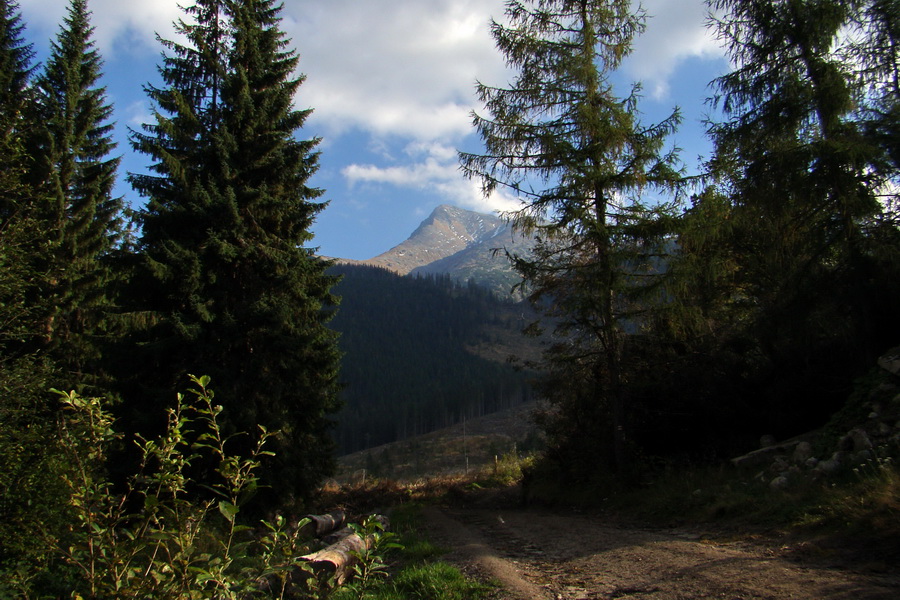 Hladké sedlo (Vysoké Tatry)