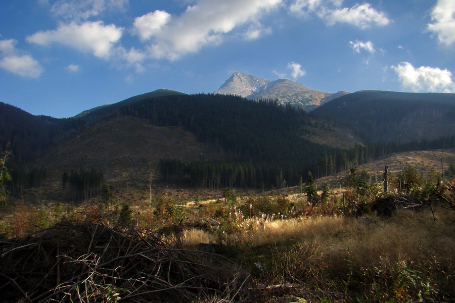 Hladké sedlo (Vysoké Tatry)