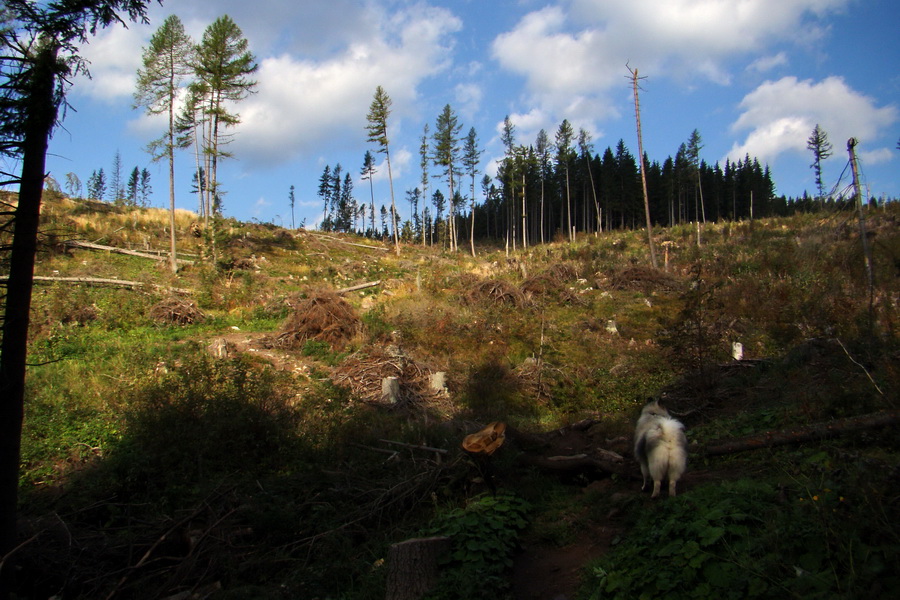 Hladké sedlo (Vysoké Tatry)