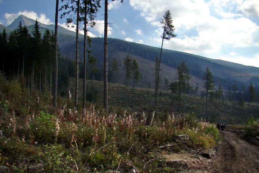 Hladké sedlo (Vysoké Tatry)