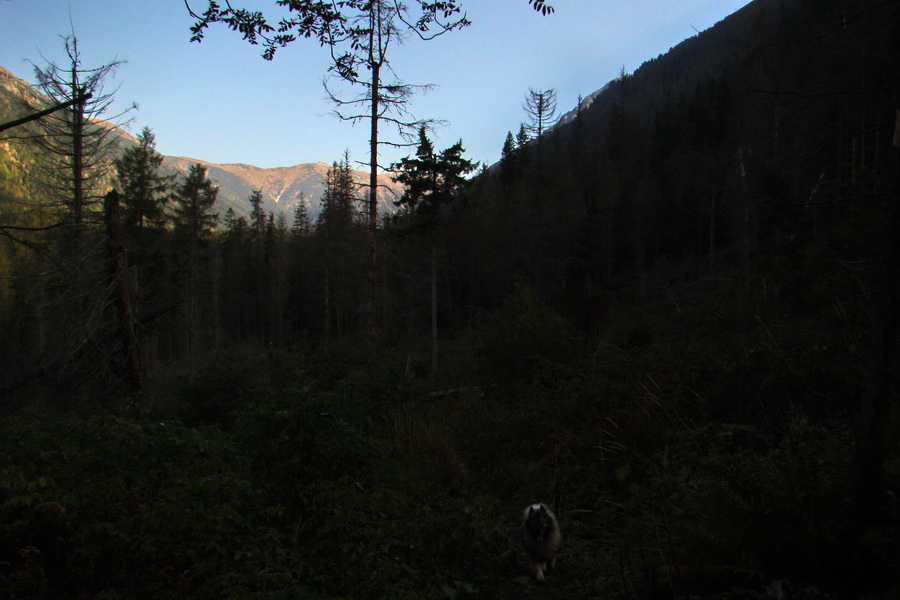 Hladké sedlo (Vysoké Tatry)