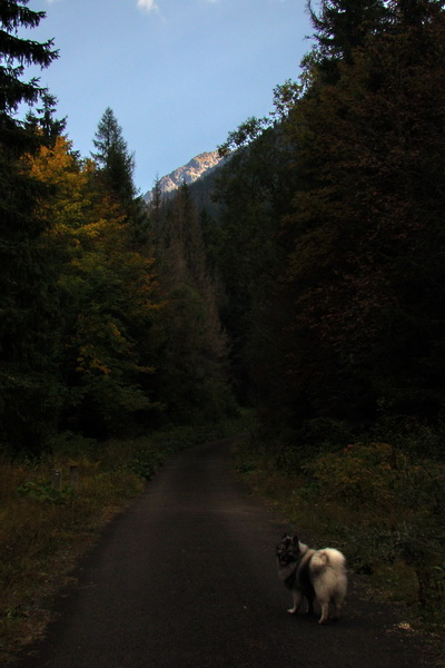 Hladké sedlo (Vysoké Tatry)