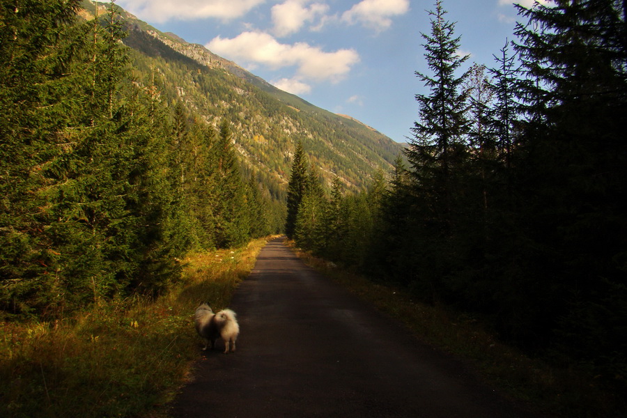 Hladké sedlo (Vysoké Tatry)