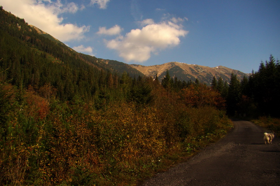 Hladké sedlo (Vysoké Tatry)