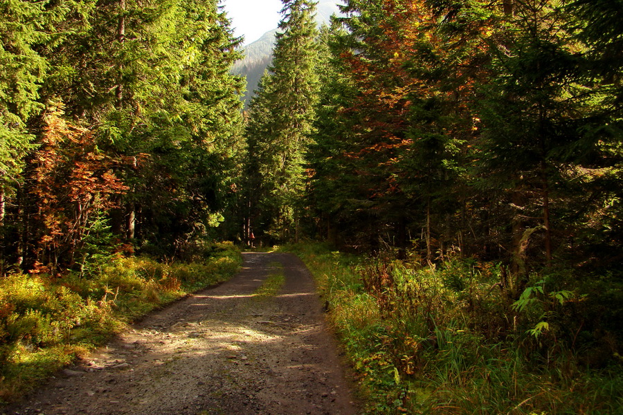 Hladké sedlo (Vysoké Tatry)