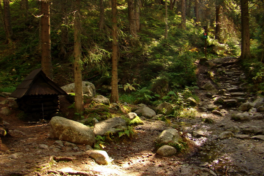 Hladké sedlo (Vysoké Tatry)