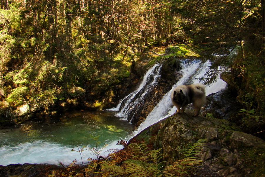 Hladké sedlo (Vysoké Tatry)