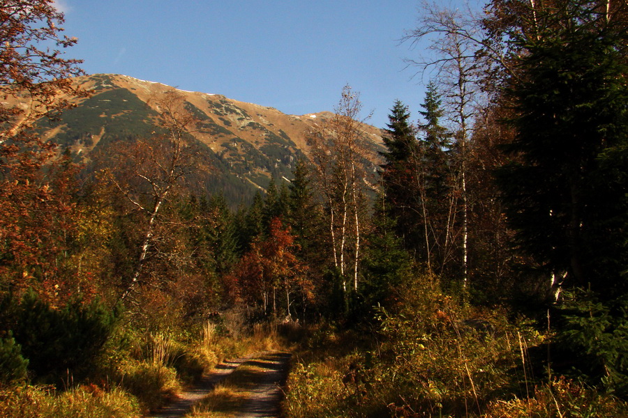 Hladké sedlo (Vysoké Tatry)