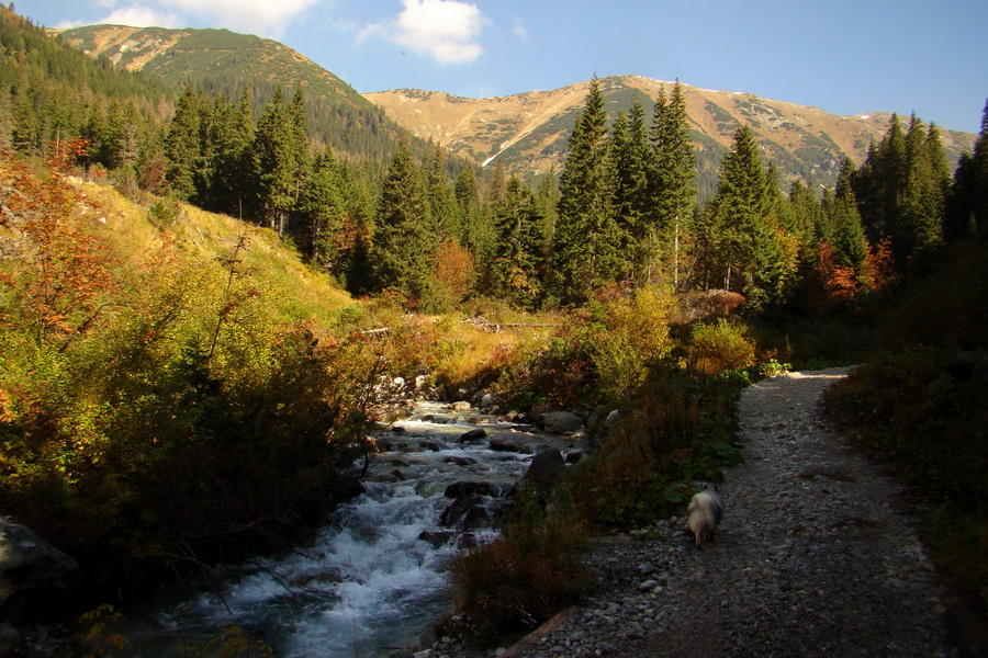 Hladké sedlo (Vysoké Tatry)