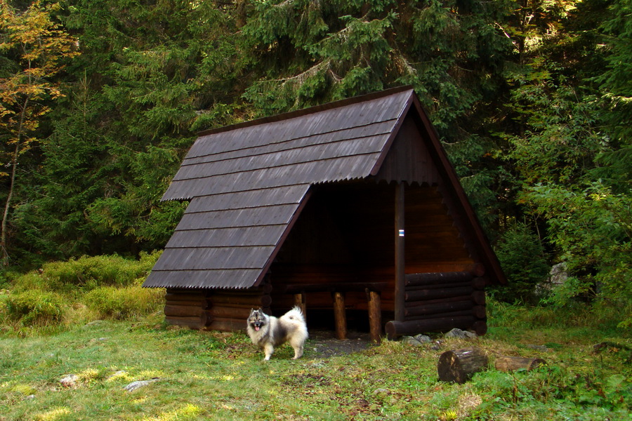 Hladké sedlo (Vysoké Tatry)