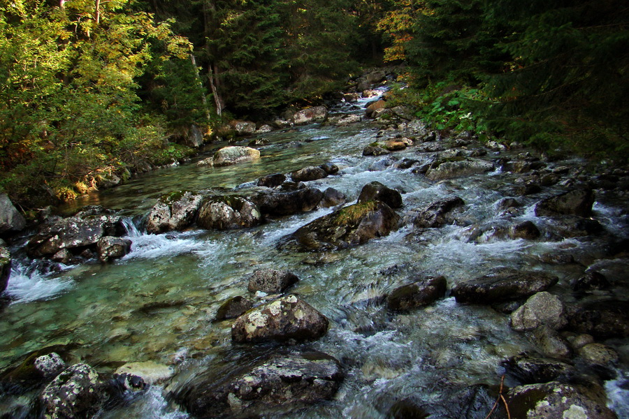 Hladké sedlo (Vysoké Tatry)