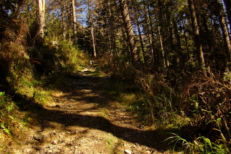 Hladké sedlo (Vysoké Tatry)