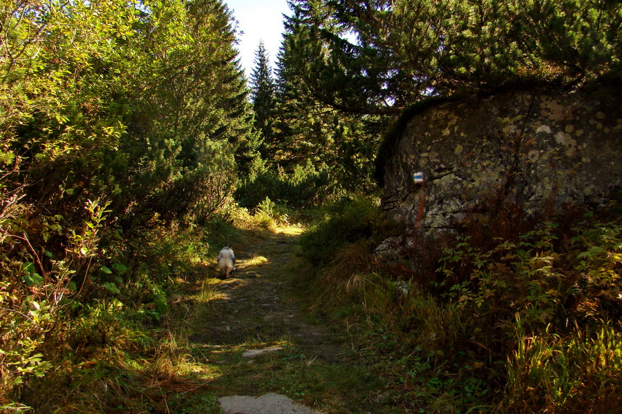 Hladké sedlo (Vysoké Tatry)