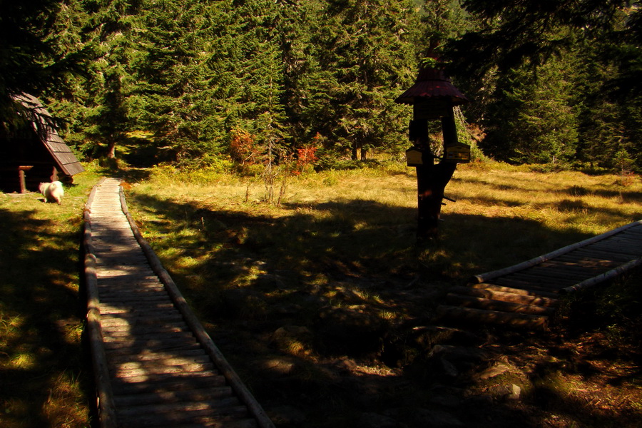 Hladké sedlo (Vysoké Tatry)