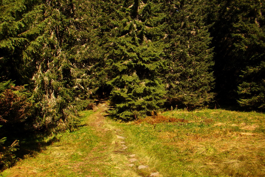 Hladké sedlo (Vysoké Tatry)