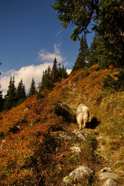 Hladké sedlo (Vysoké Tatry)