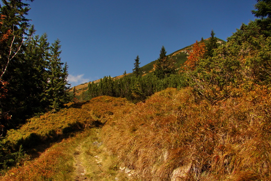 Hladké sedlo (Vysoké Tatry)