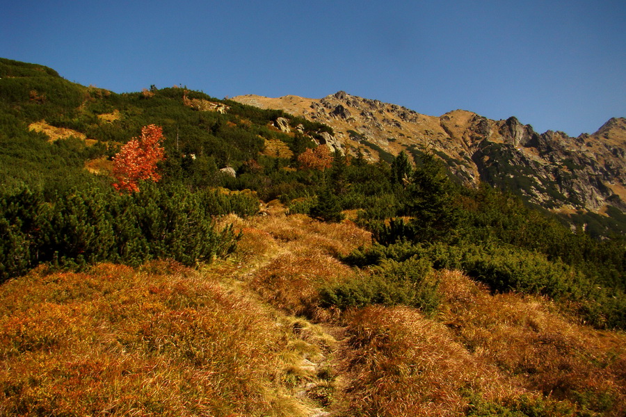 Hladké sedlo (Vysoké Tatry)