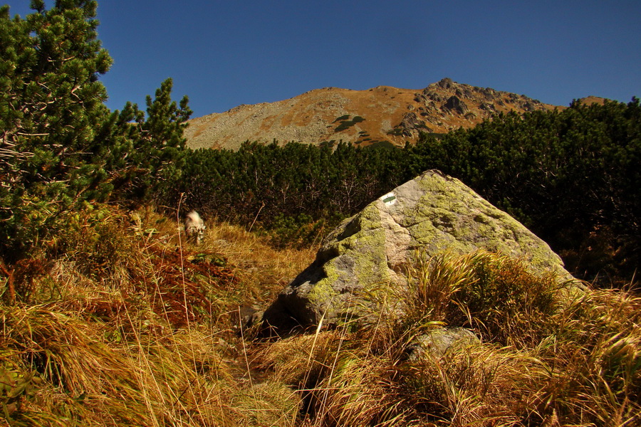 Hladké sedlo (Vysoké Tatry)