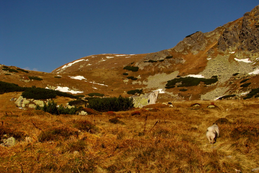 Hladké sedlo (Vysoké Tatry)