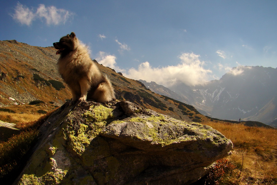 Hladké sedlo (Vysoké Tatry)