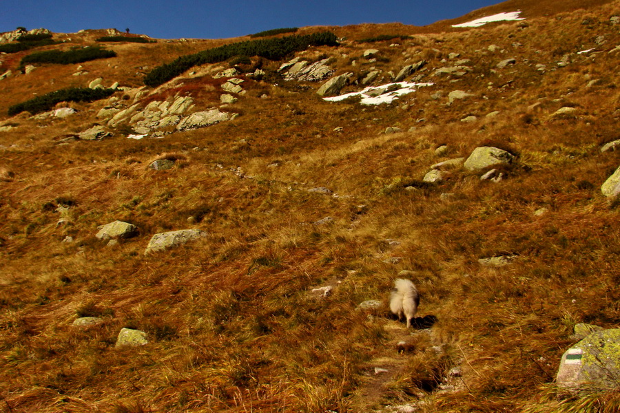 Hladké sedlo (Vysoké Tatry)