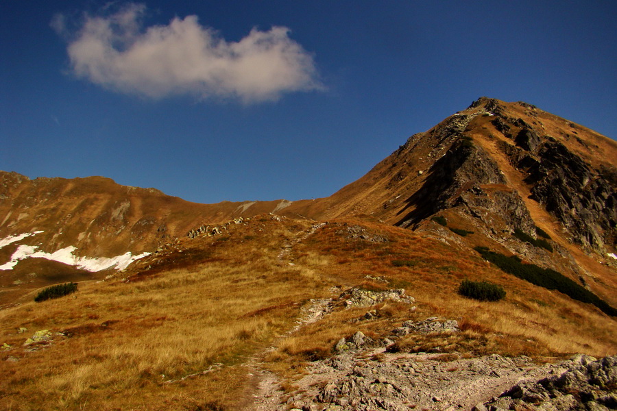 Hladké sedlo (Vysoké Tatry)