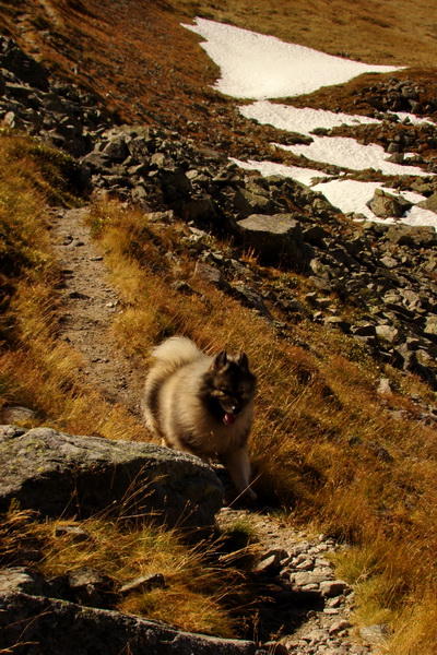 Hladké sedlo (Vysoké Tatry)